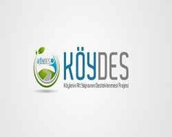 Köydes